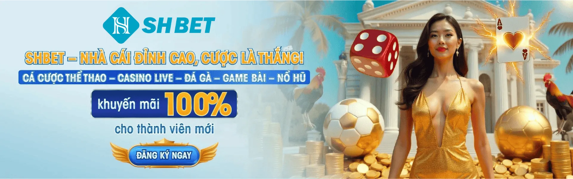 banner shbet