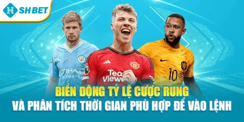 Biến động tỷ lệ cược rung và phân tích thời gian phù hợp để vào lệnh