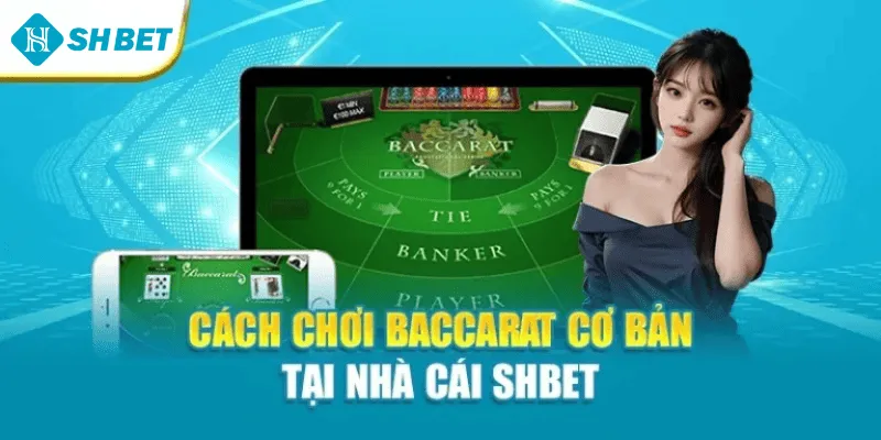 Cách chơi Baccarat cơ bản tại nhà cái Shbet