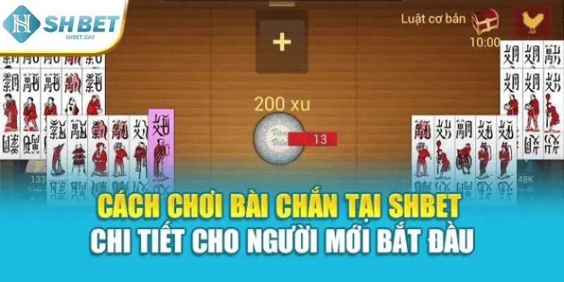 Cách Chơi Bài Chắn