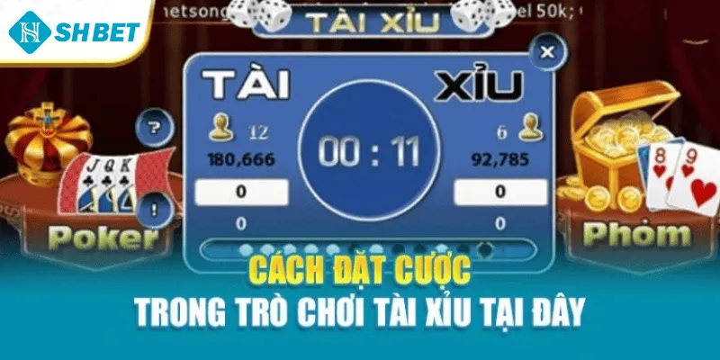 Cách đặt cược trong trò chơi tài xỉu tại đây