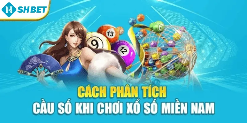 Cách phân tích cầu số khi chơi xổ số miền Nam