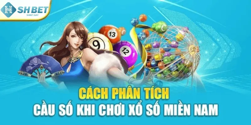 Cách phân tích cầu số khi chơi xổ số miền Nam
