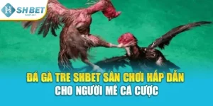 Đá Gà Tre