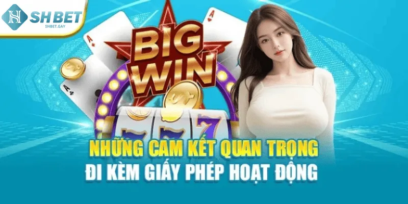Những cam kết quan trọng đi kèm giấy phép hoạt động