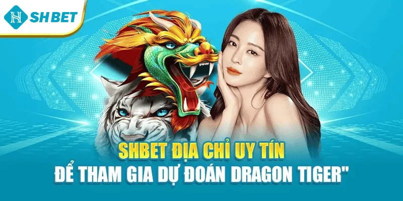 Shbet địa chỉ uy tín để tham gia dự đoán Dragon Tiger