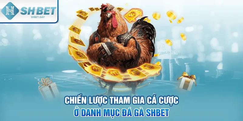 Theo dõi phong độ và lịch sử trận đấu đá gà cựa sắt
