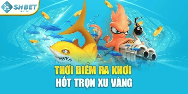 Thời điểm ra khơi hốt trọn xu vàng