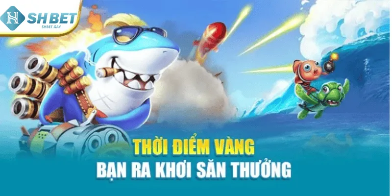 Thời điểm vàng bạn ra khơi săn thưởng